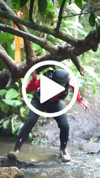 BIB:  <button type="button" onclick="openModal(27802614)" class="btn btn-primary btn-sm float-right" data-toggle="modal" data-target=".modal-high-quality">
                <i class="fa fa-download"></i> Download
                </button>